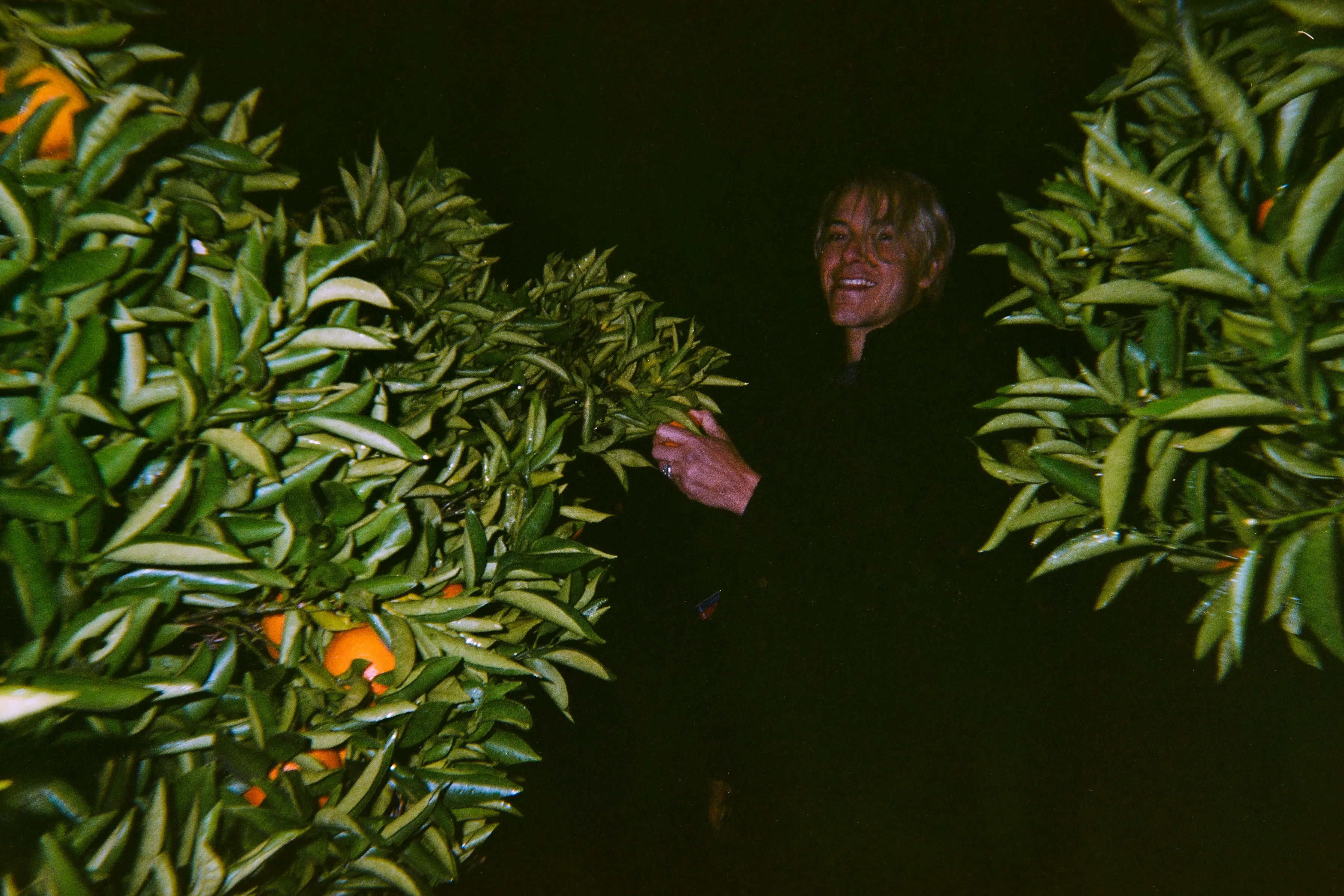 タズ・スカイラー（サンジ）