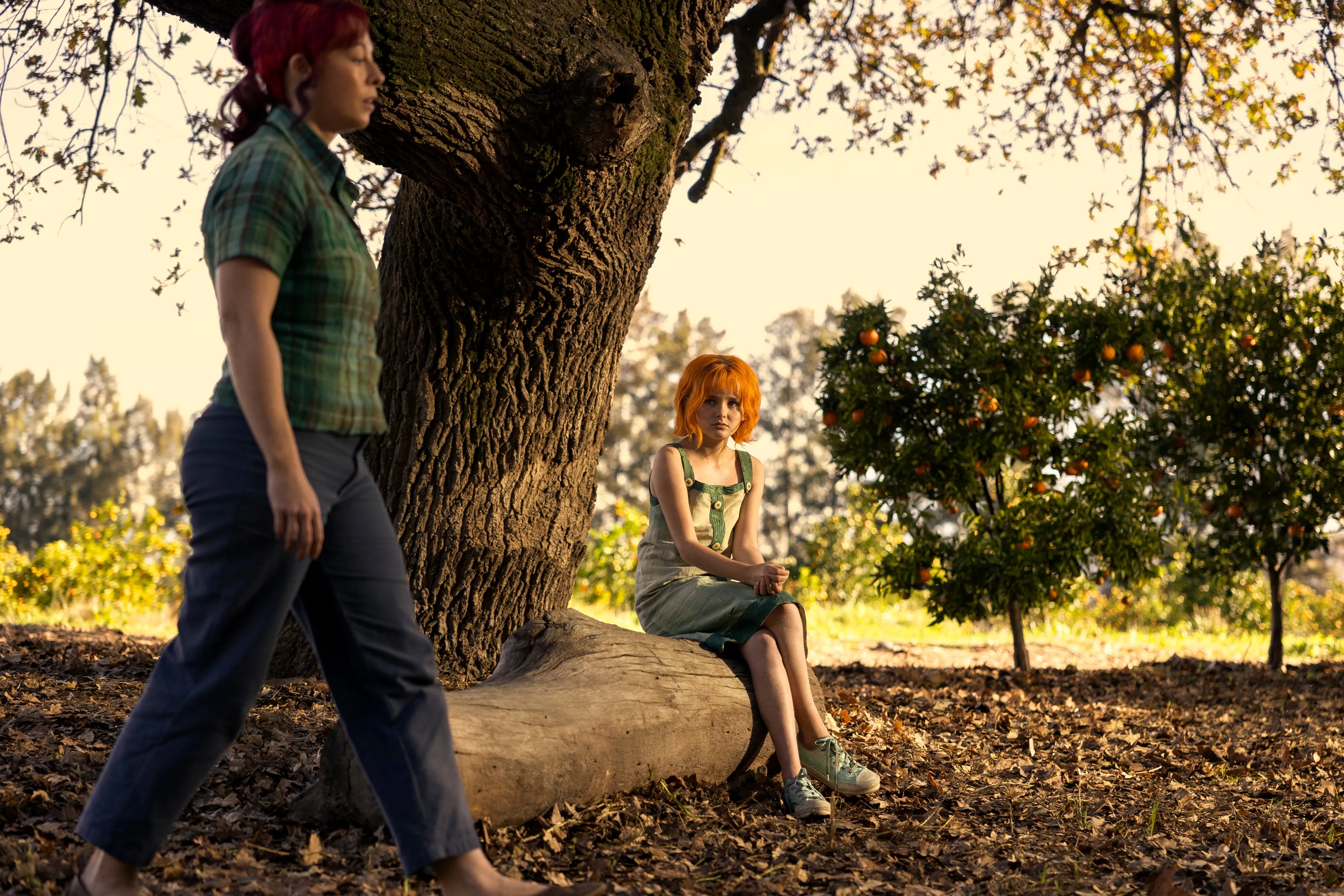 幼少期のナミと母・ベルメール