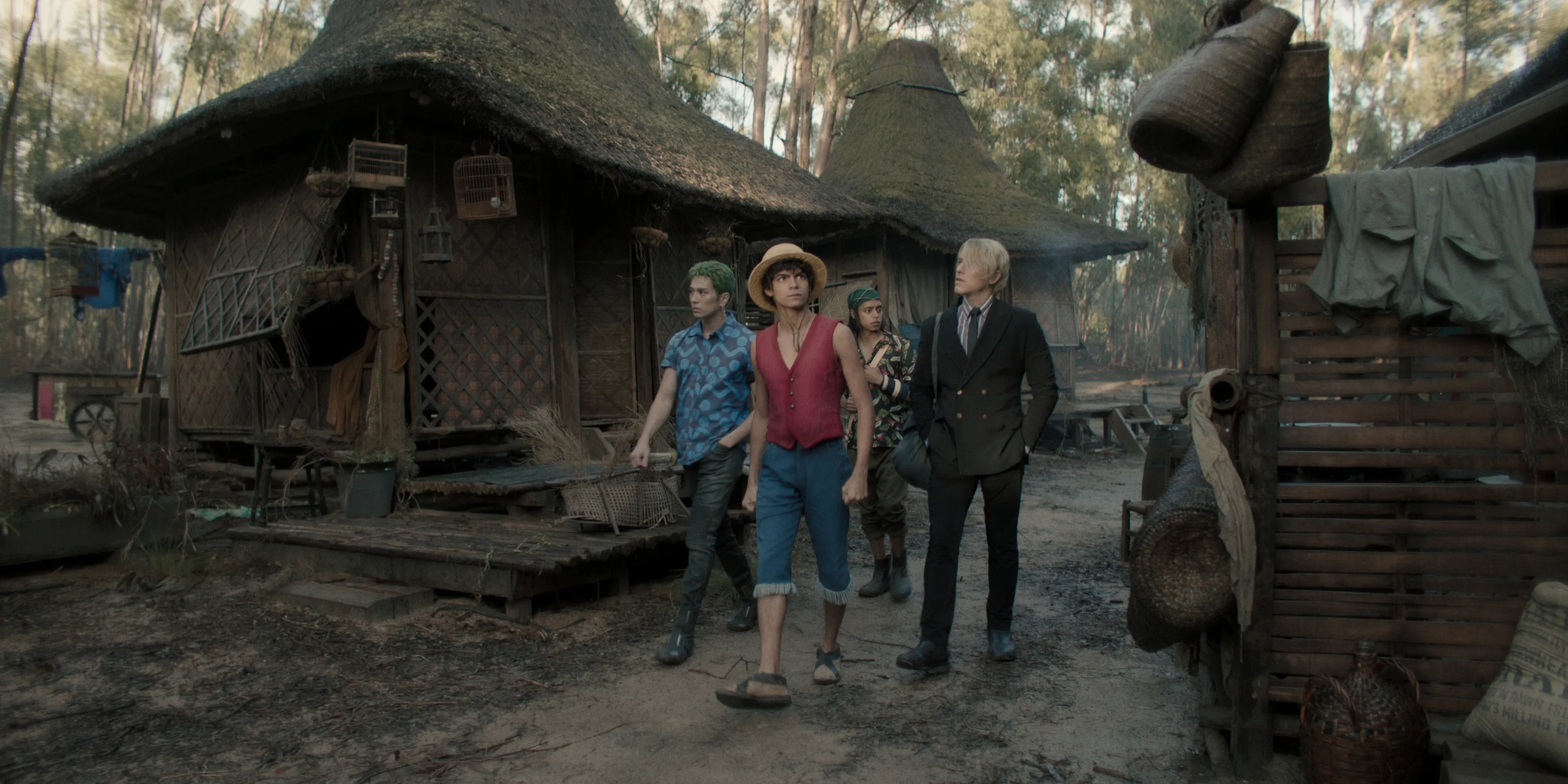 ナミの故郷を訪れるルフィたち