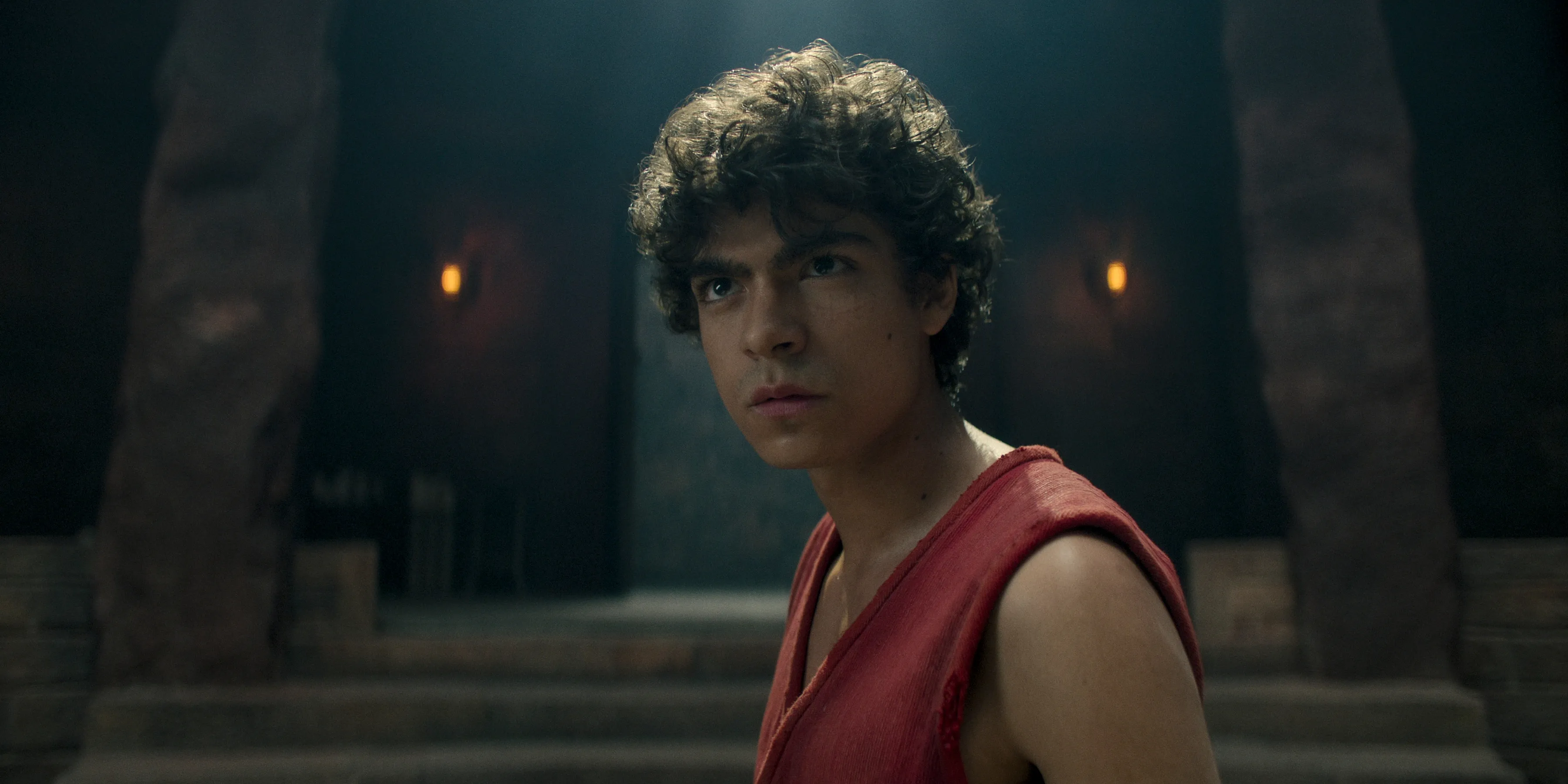 おれの仲間を傷つけるやつは許さない