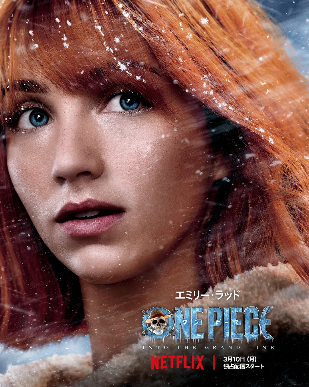 キャラクターポスター ドラム島 ナミ（エミリー・ラッド）